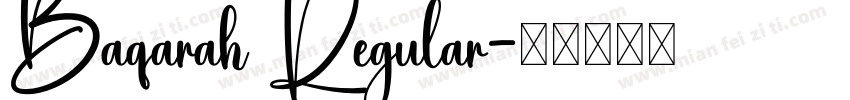 Baqarah Regular字体转换